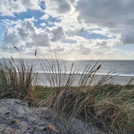 8 Person In Dom wakacyjny