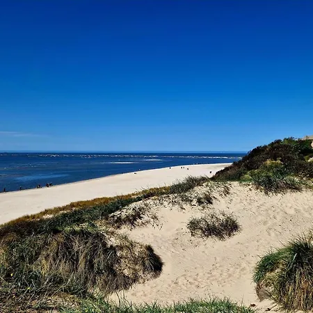 Dom wakacyjny 8 Person In Blåvand