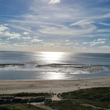 8 Person In * בלבאנד