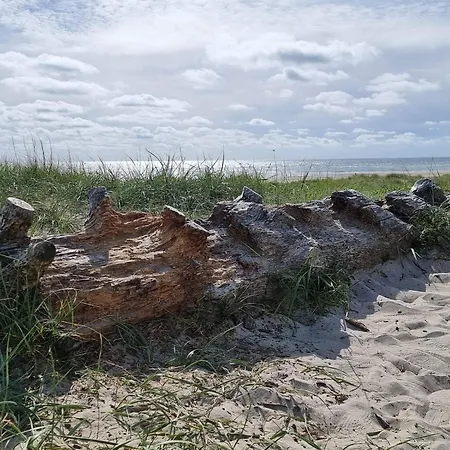 8 Person In בלבאנד