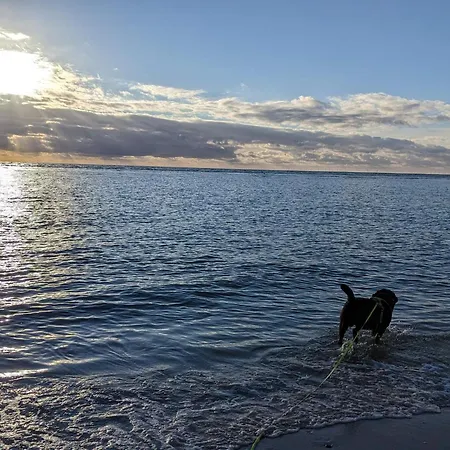 בית נופש 8 Person In *